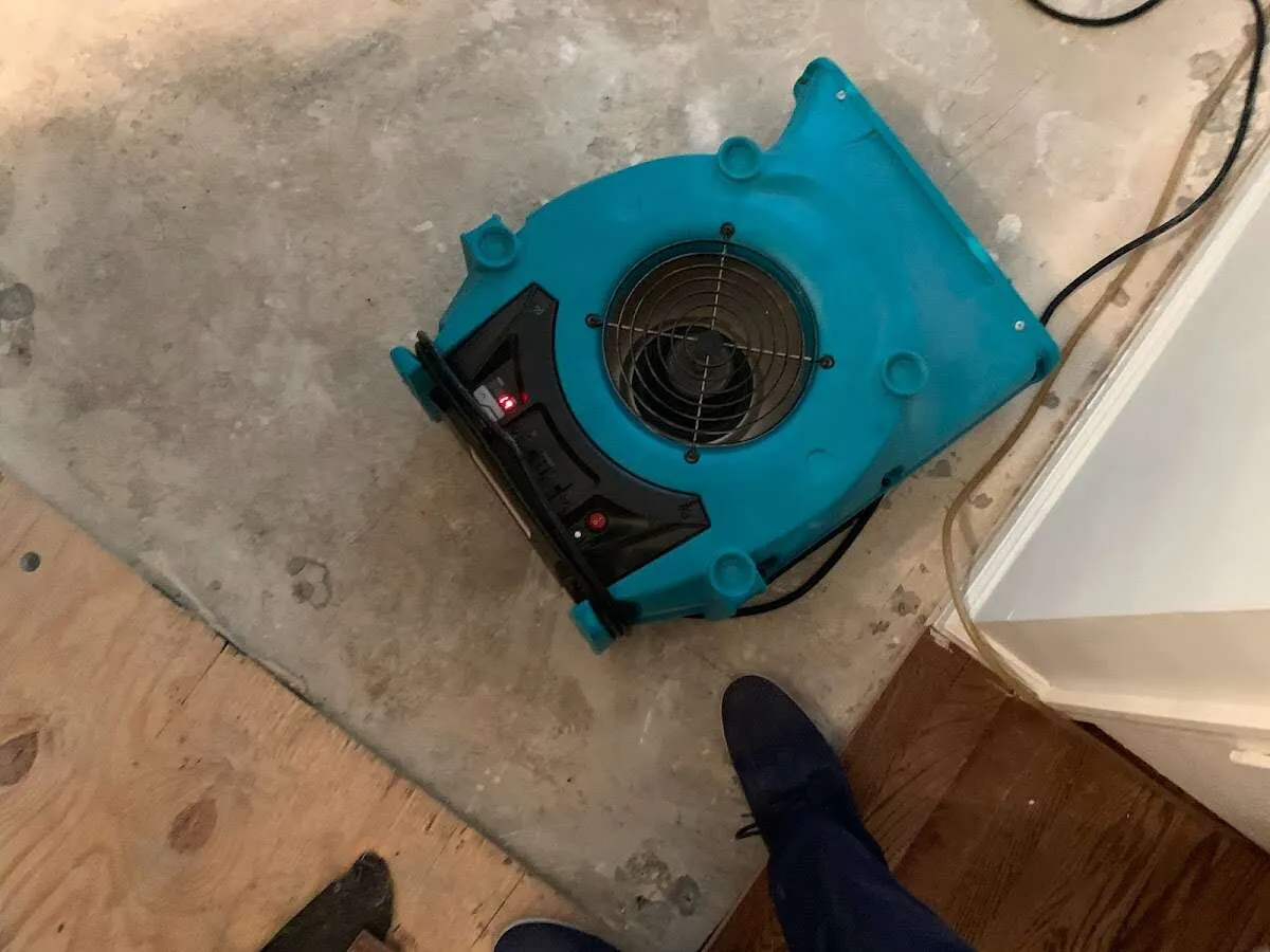 Air mover drying subfloor during Commercial Water Damage Restoration in Royalton